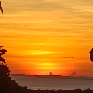 Parsetan dengan cinta