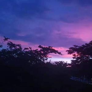 在名为未来的波浪里