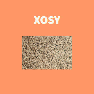 Xosy