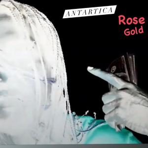 Antartica (Rose Gold)