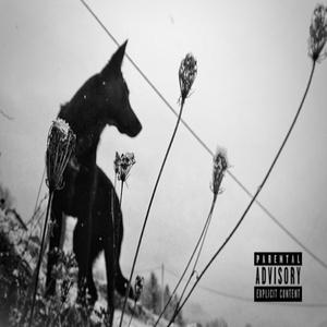 You Never Know (feat. Gambit Da Mayor)