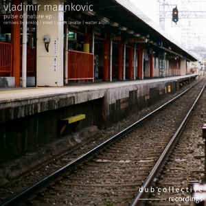 After Rain (Walter Albini Remix)