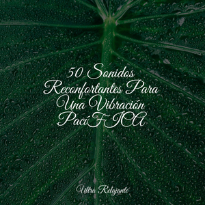 Profundidades Reconfortantes