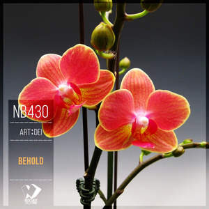 Behold (Original Mix)