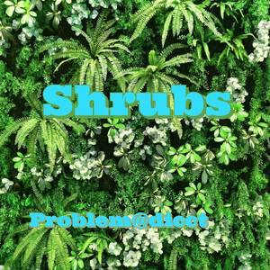 Shrubs