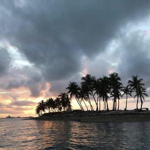 我有钱你爱我吧