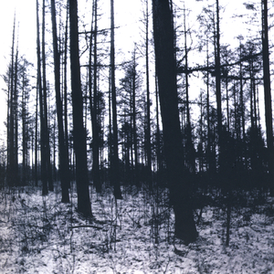 The Man Who Couldn't Move