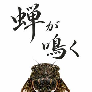 蝉が鳴く
