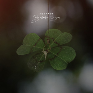 Zorladım Şansımı