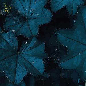 raindrops (Rain Version)