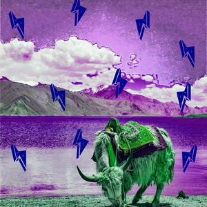 Дудка