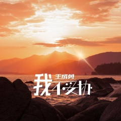 我不妥协