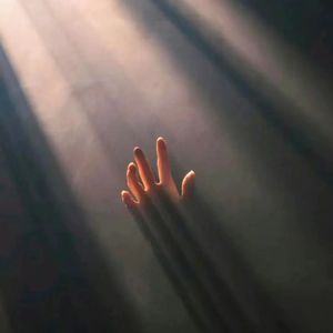 一生的挚爱7