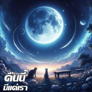 คืนนี้มีแค่เรา