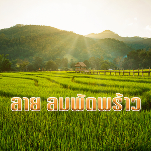 ลาย ลมพัดพร้าว