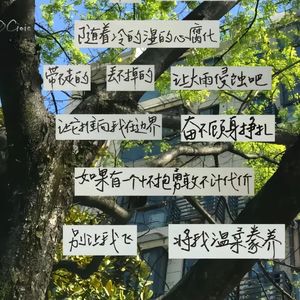星空下的私语