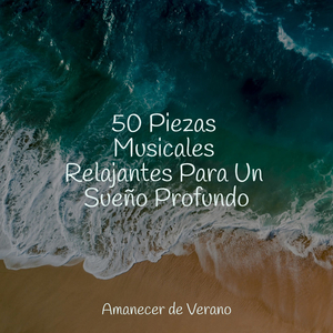 Guía Meditativa para la Relajación