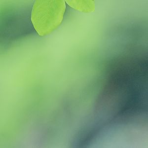 墨囊干涸的征伐