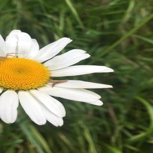 Le délit de nos nuits