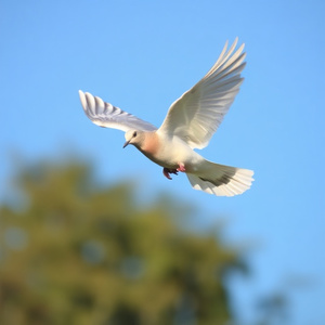 Gaza Stop the Massacre