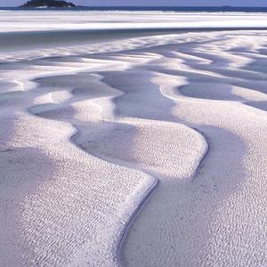 鸡蛋鸭蛋荷包蛋