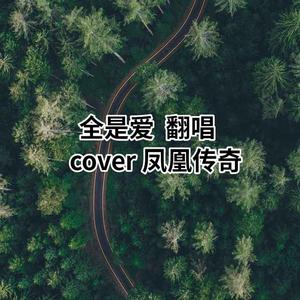 全是爱（吉他弹唱）（翻自 群星）