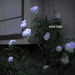 下一站，茶山刘