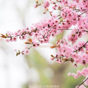 适合在家里工作了解音乐