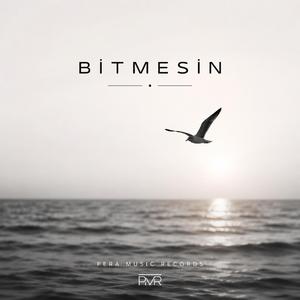 Bitmesin