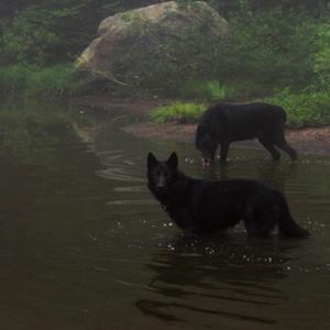 Still Thumbin (feat. Southsidesilhouette)