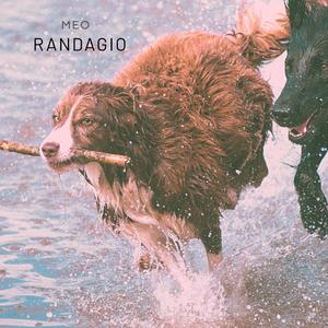 Randagio