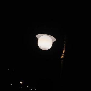 小王子（Cover 野夫子）