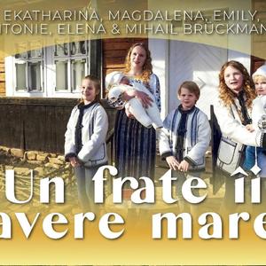 Un frate ii avere mare