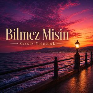 Bilmez misin