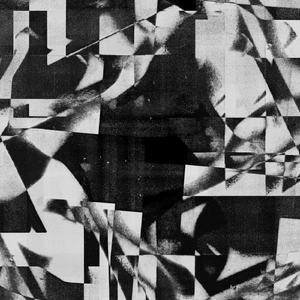 Wagakki Orchastra #2 (和楽器オーケストラ)