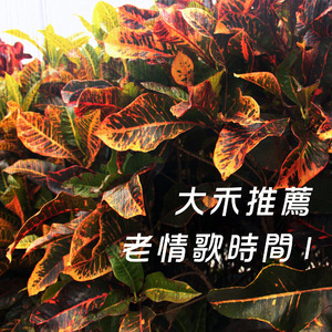 将过去和你慢慢拭去