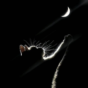 来不及好好道别