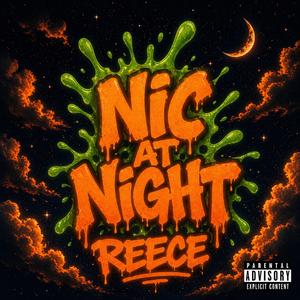 NicAtNight