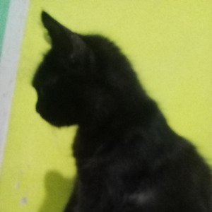 Sorangan Jaba poek
