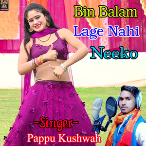 Bin Balam Lage Nahi Neeko
