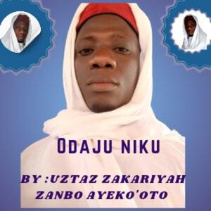 Odaju niku