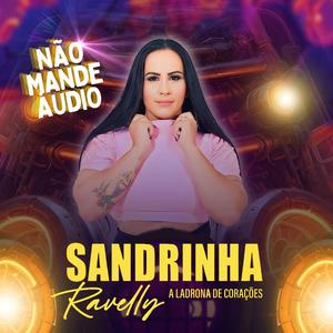 Não mande áudio