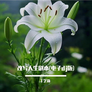 改写人生剧本(电子dj版)