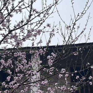untitled1214