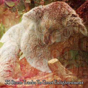 风雨如磐的开始