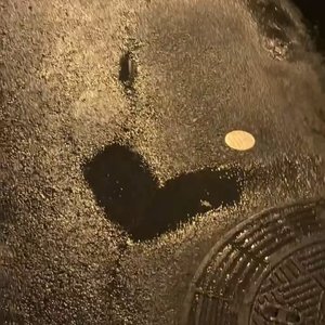 等风来