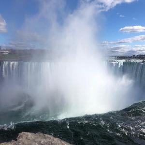 Suicide is the Answer