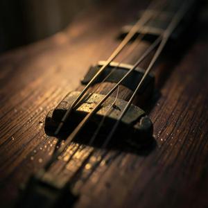 Funk Train to Memphis