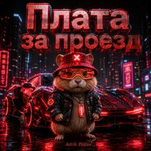 Плата за проезд