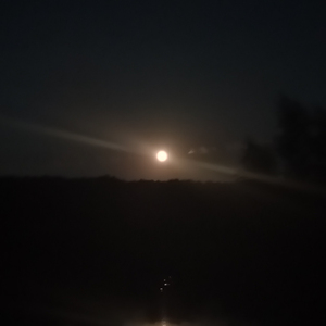 всё, что ты чувствовал